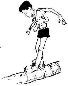 Unbenannt-1(1)